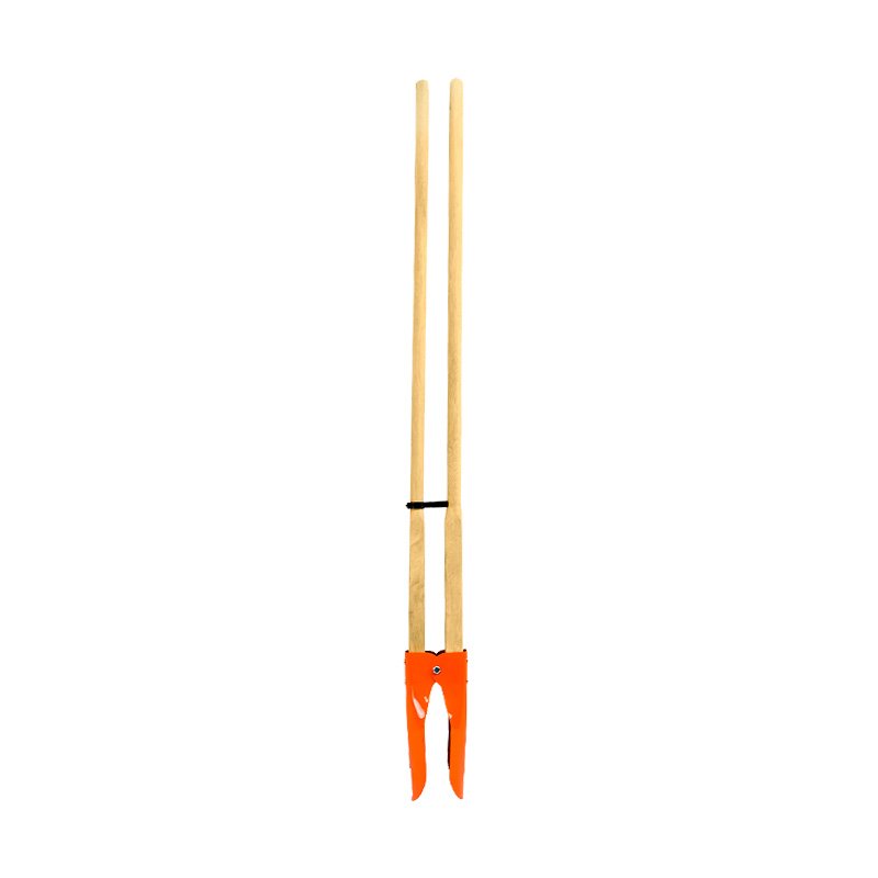 Escova novica protege unha-215